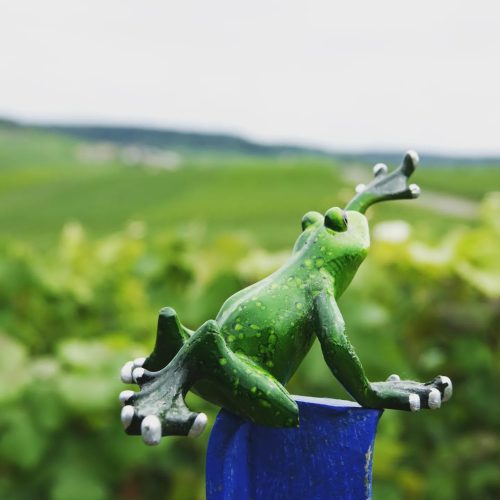 Quelques gouttes…